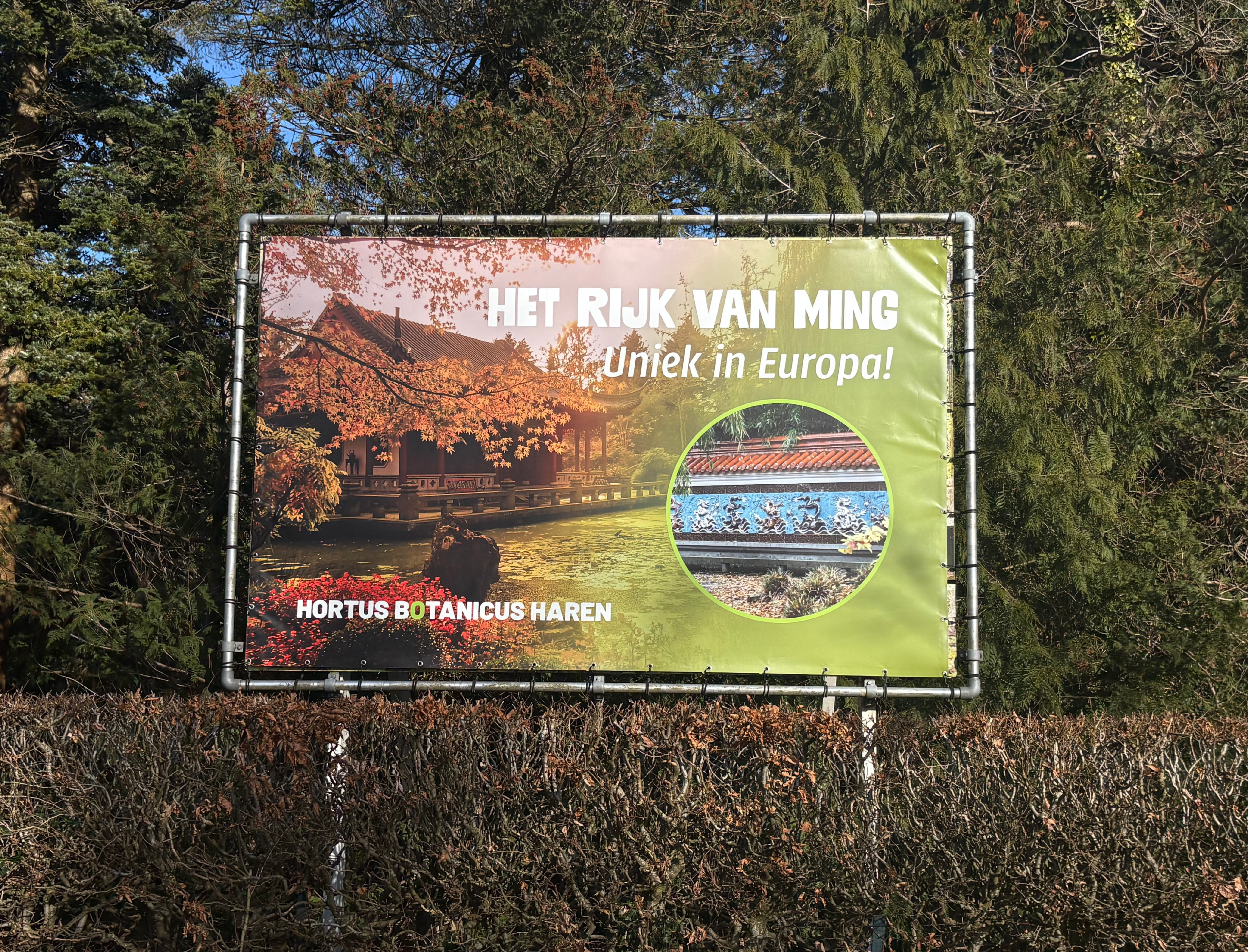 Plantenmarkt poster