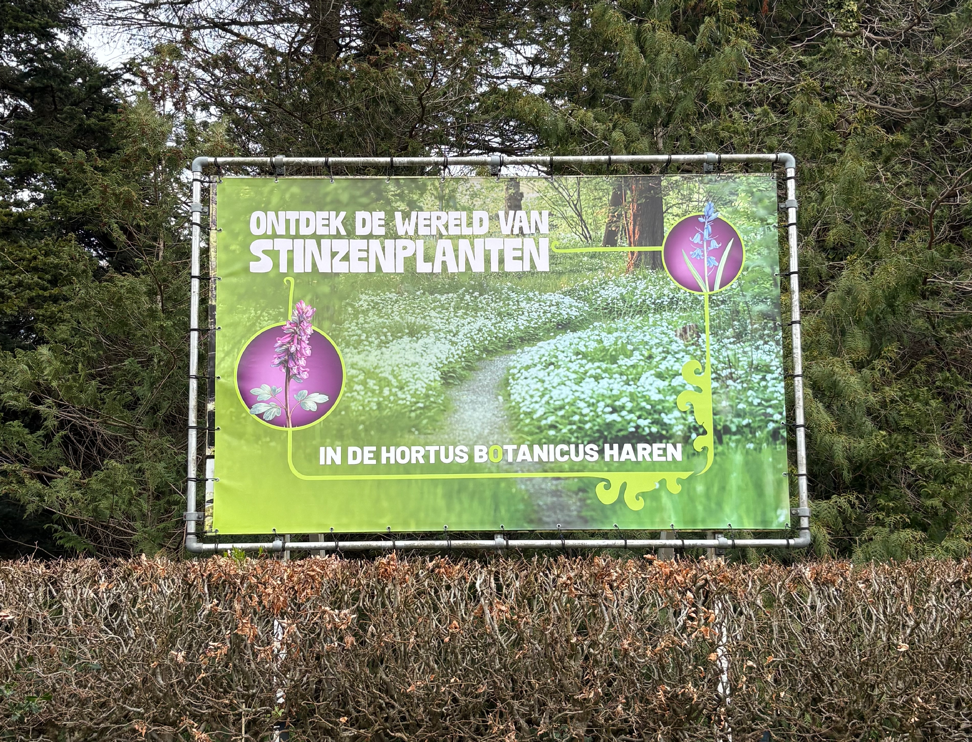 Poster 2