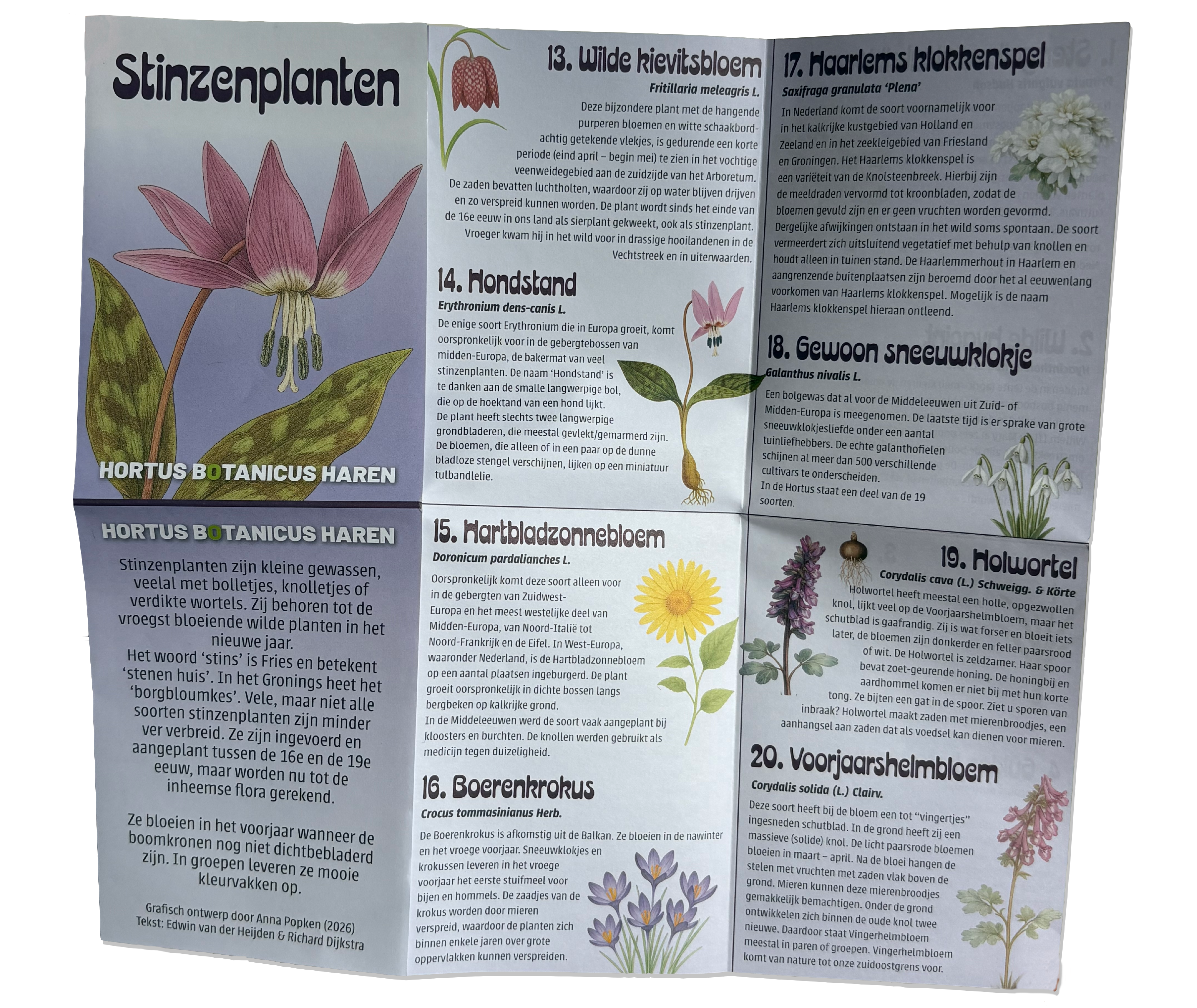 Plantenmarkt poster