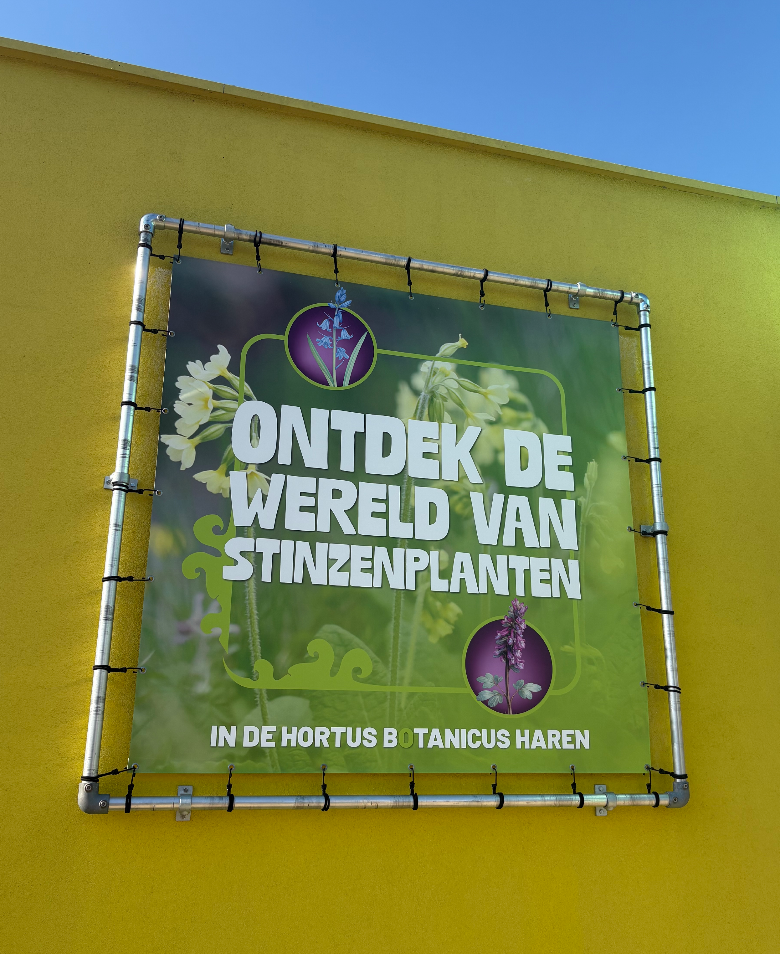 Plantenmarkt poster