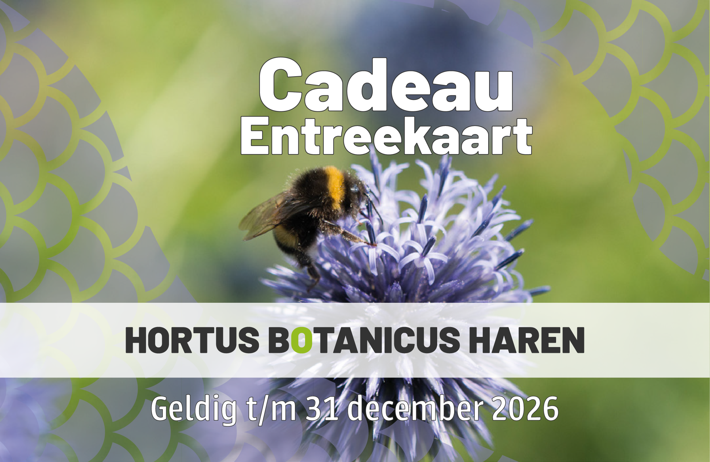 Plantenmarkt poster