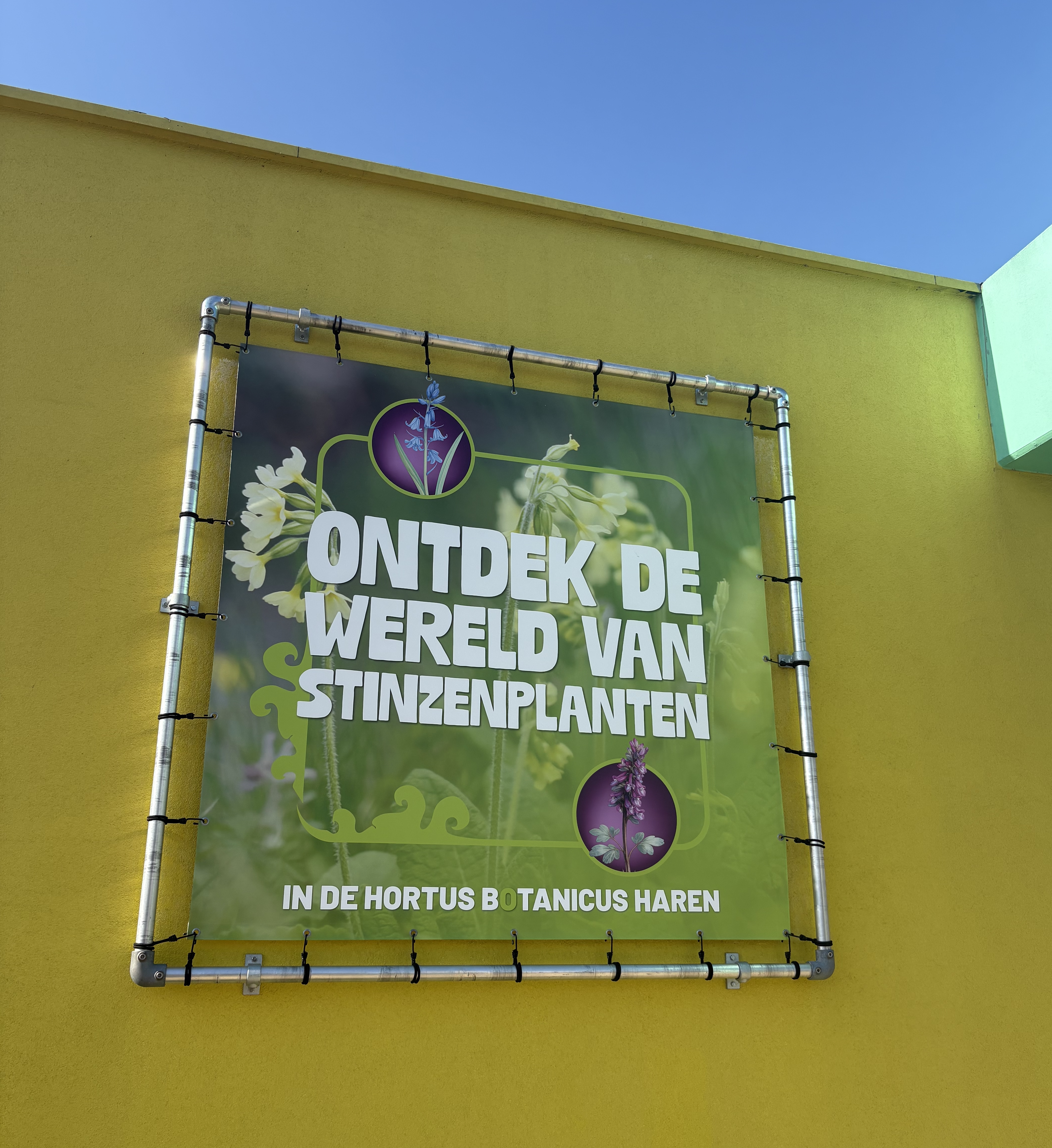 Plantenmarkt poster